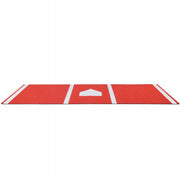 PROFESSIONAL BASEBALL TRAINING MAT VEVOR 300X116 CM NON-SLIP
