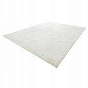 VEVOR LONG PILE CARPET 3048X2438 MM PLUSH STRONG COMFORTABLE FOR