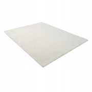 VEVOR LONG PILE CARPET 3048X2438 MM PLUSH STRONG COMFORTABLE FOR