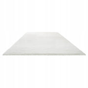 VEVOR LONG PILE CARPET 3048X2438 MM PLUSH STRONG COMFORTABLE FOR