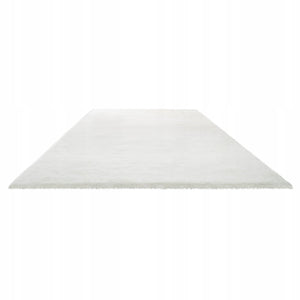 VEVOR LONG PILE CARPET 3048X2438 MM PLUSH STRONG COMFORTABLE FOR