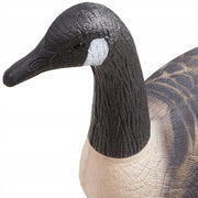 VEVOR POWERFUL 6-PIECE SET OF REALISTIC CANADA GOOSE DECOYS FOR