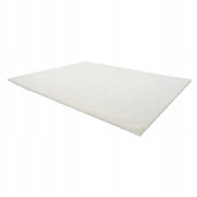 VEVOR LONG PILE CARPET 3048X2438 MM PLUSH STRONG COMFORTABLE FOR