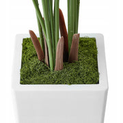 VEVOR 5FT ARTIFICIAL ARECA PALM TREE WITH WHITE POT STURDY AND STYLISH